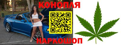 герыч Кингисепп