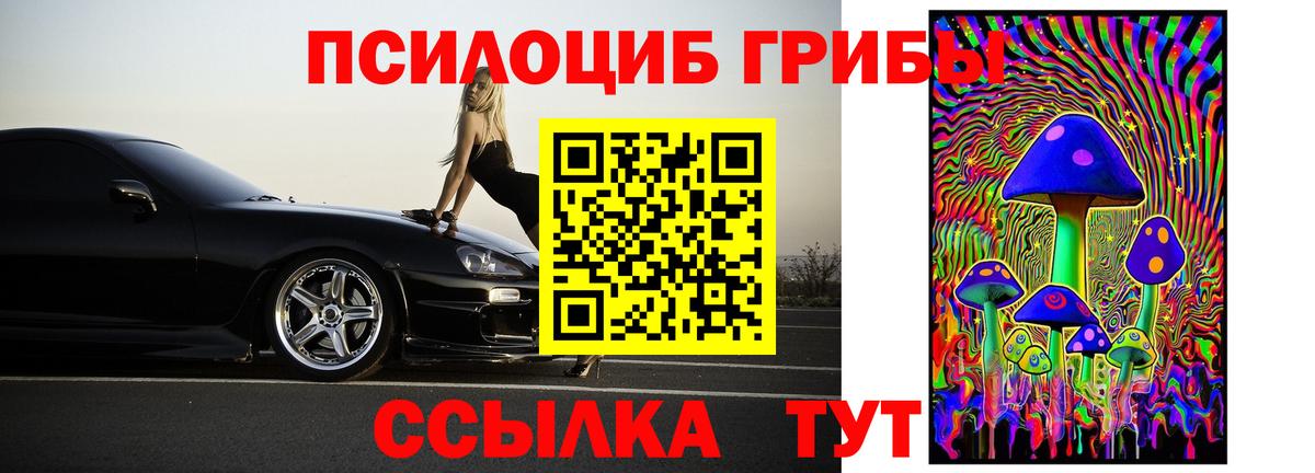 Галлюциногенные грибы Psilocybine cubensis  Вход с VPN  Кимры 