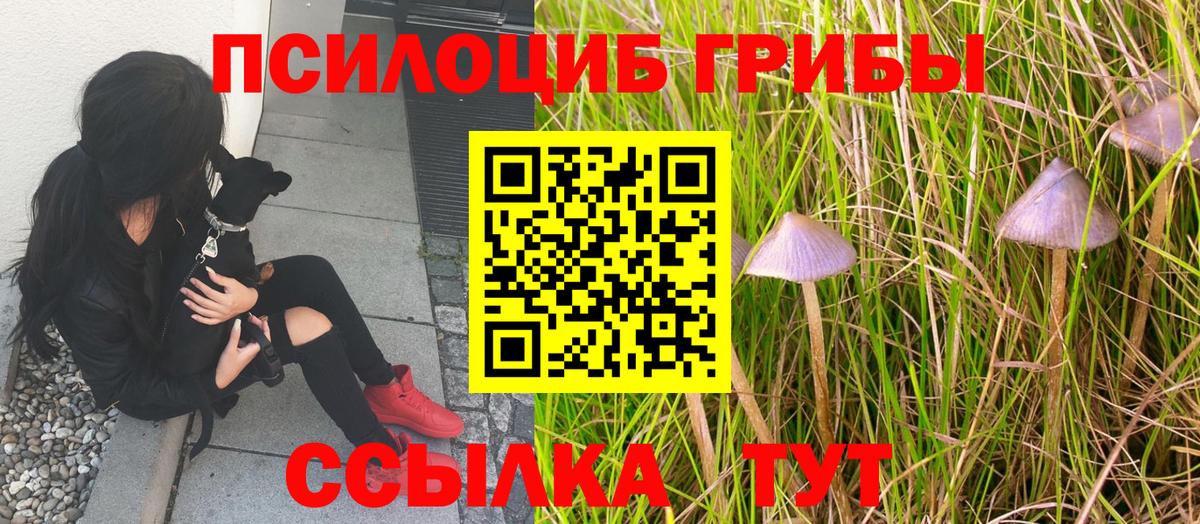 Псилоцибиновые грибы MAGIC MUSHROOMS Кимры